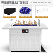 LayinSun 5 - Piece Outdoor Aluminum Furniture Set with 44'' Propane Gas Fire Pit Table